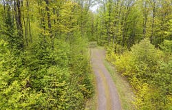 On FOREST RD 8300, Marenisco, MI 49947