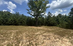 220 Henry Rd, Downsville, LA 71234