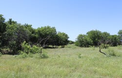 162 ACRES N2740, WAURIKA, OK 73573