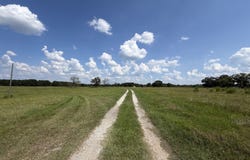 23.03 ACRES Carters Bridge Road, Claxton, GA 30417