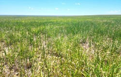 E 56th Ave, Deer Trail, CO 80105