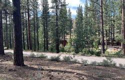 66 Pleasant Valley Road, Markleeville, CA 96120