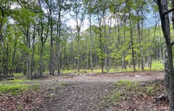 Foothill Blvd 5 Boulevard, Effort, PA 18330