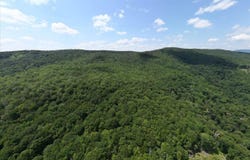 TBD HALTERMAN HOLLOW LN, MONTEREY, VA 24465