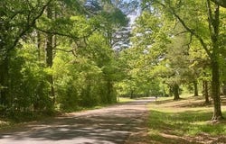Moaks Creek Road, Summit, MS 39666