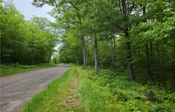 Lot 31 & 32 Woodcrest Drive, Cable, WI 54821