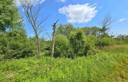 TBD Bauer, Hardwood, MI 49831