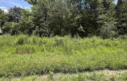 0.53 Acres Split Log Rd, St Amant, LA 70774