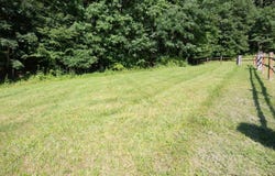 117 Buckner Drive, Roan Mountain, TN 37687