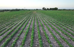 Millstream Avenue, Winterset, IA 50273