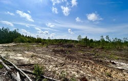 001 Old Highway 24, Neely, MS 39461