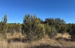 Tbd Sunfish Point, Bluff Dale, TX 76433
