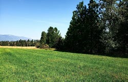 804 Drift In Lane, Stevensville, MT 59870