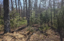 Hopkins Rd, Rocky Mount, VA 24151