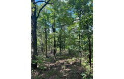 Tract 2 SE 1083 Road Ave., Red Oak, OK 74563
