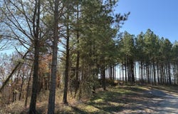 4690 Split Rail Way lot: 1359, Guild, TN 37340