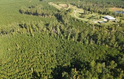 Kilpatrick Rd Tract 2D, Eatonton, GA 31024