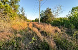 TBD Conifer Rd, Okmulgee, OK 74447