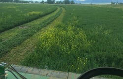 Cascade, MT 59421