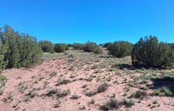 236 N9233 SE, Concho, AZ 85924