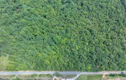 Freely Rd, Abbeville, SC 29620