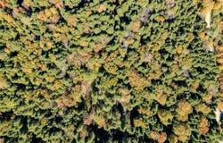 30 Bentley Lane, Jericho, VT 05465