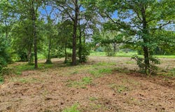 Hazelwood Dr, Naples, TX 75568