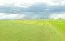 TBD Arpan Road, Nisland, SD 57762