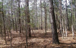 Lot 10 Blackberry Bend, Elberton, GA 30635