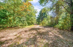 V/L 40 A S Locust Avenue, White Cloud, MI 49349