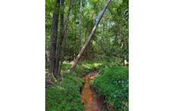 00 Landis Road, Winnsboro, SC 29180