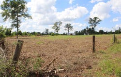 CR 1110 - Tract 4, Rusk, TX 75785