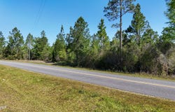 0 NW Miller Road, Altha, FL 32421