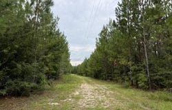 Walker Springs Road, Tract C, Jackson, AL 36545