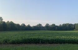 5141 E 300 S Road, Hartford City, IN 47348