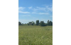 423403  E 1050 Rd., Checotah, OK 74426