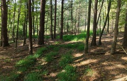 River Rd WP Lot 1, clarion, PA 16214