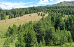 Parcel 500 Owl Creek Ln, Emida, ID 83861