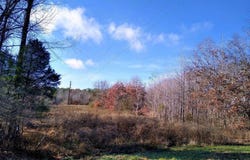 18 Old Golconda Road, Golconda, IL 62938