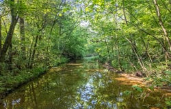Tbd Brown'S Creek Road, Ravenden, AR 72459