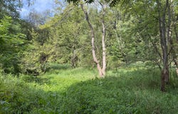 0 S Mosiertown Road, Meadville, PA 16335