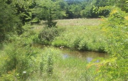 3176 S 170th Road, Polk, MO 65727