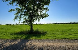 19 County Road 2200, Pecan Gap, TX 75469