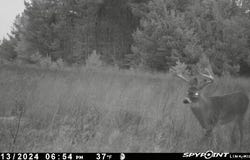 936 Motz Road SW, Kalkaska, MI 49646