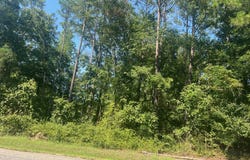 203 Pebble Cove Rd, Abbeville, AL 36310