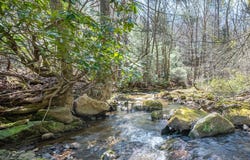 931 Maple Shade Rd, Laurel Fork, VA 24352