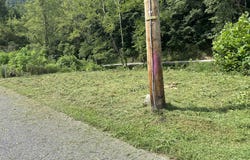 Excelsior Bottom Rd, WAR, WV 24892