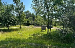 4342 Hamilton, Butman, MI 48624