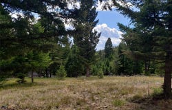 300 Hematite Road, Helmville, MT 59843