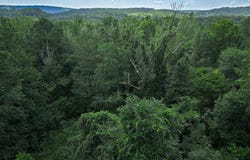 00B W Glazypeau Road, Mountain Pine, AR 71956